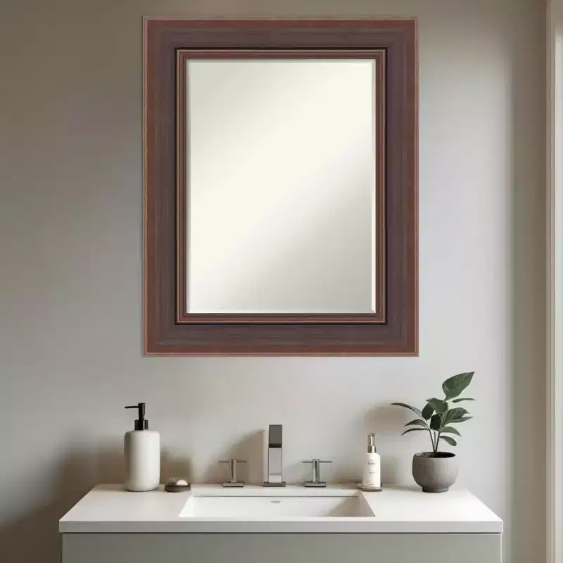 Moab Brown Bronze Petite Bevel Bathroom Wall Mirror 31.5 x 25.5 in.