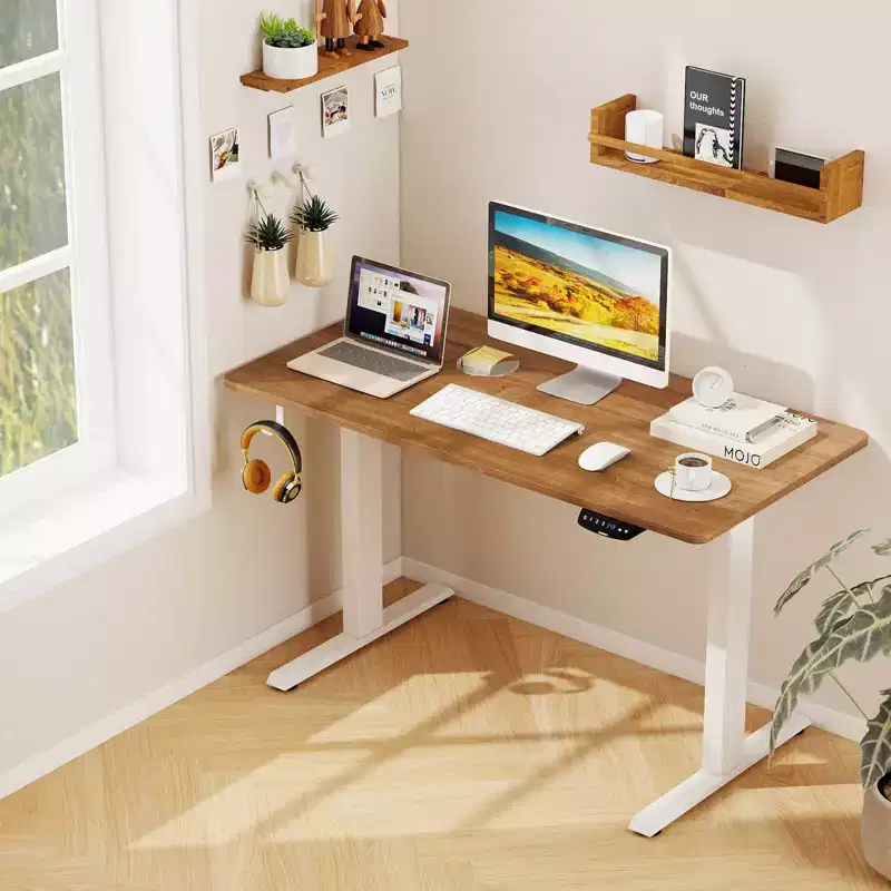 Costway Electric Adjustable Standing up Desk Dual Motor w/ Controller